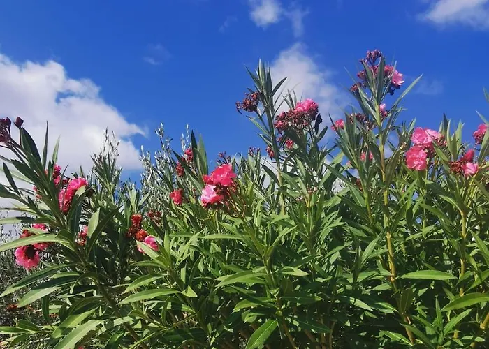 Apartment Kelly's Chrisi Akti (Paros)