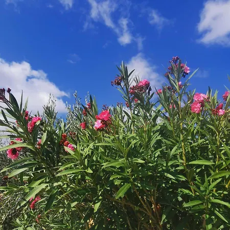 Apartment Kelly's Chrisi Akti (Paros)